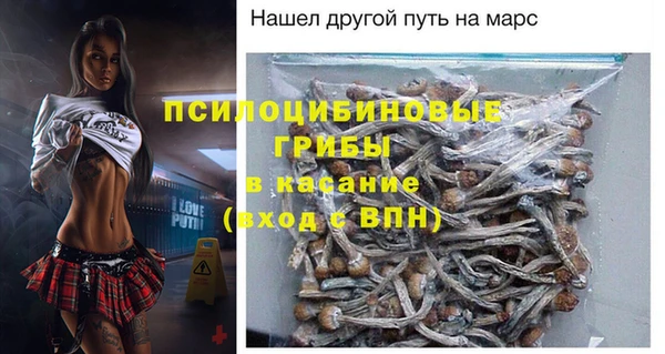 сатива Михайловка