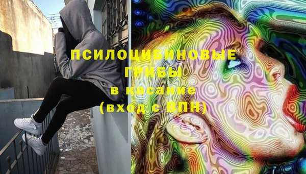 не бодяженный Надым