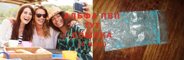 сатива Михайловка