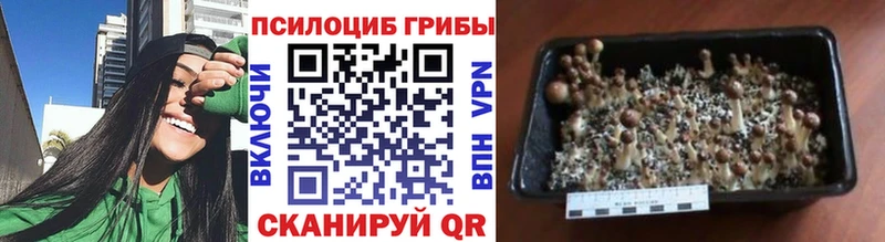 Галлюциногенные грибы Magic Shrooms  ссылка на мегу онион  Харовск  наркошоп 